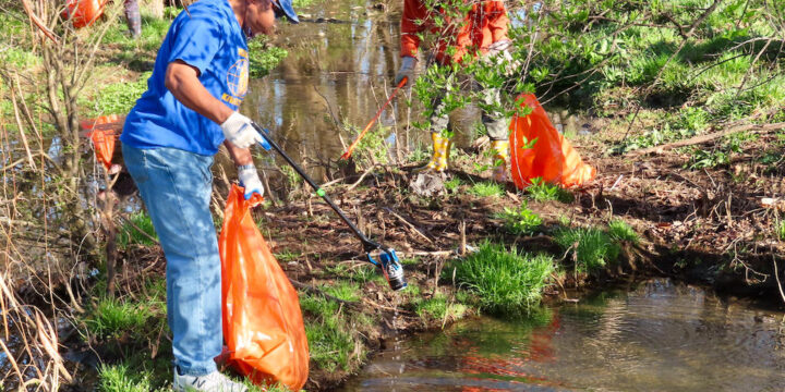 CLEAN UP DAY
